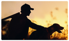 DNSEMP-C-311 Gone Hunting (Dog)